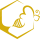 Apiamo Logo
